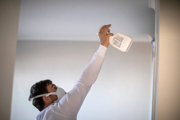 Best Mold Testing and Inspection Services in Lake Isabella, MI